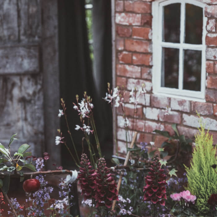 Which visionary’s skill set included theology, scriptural interpretation, musical composition, botany, and natural medicine?