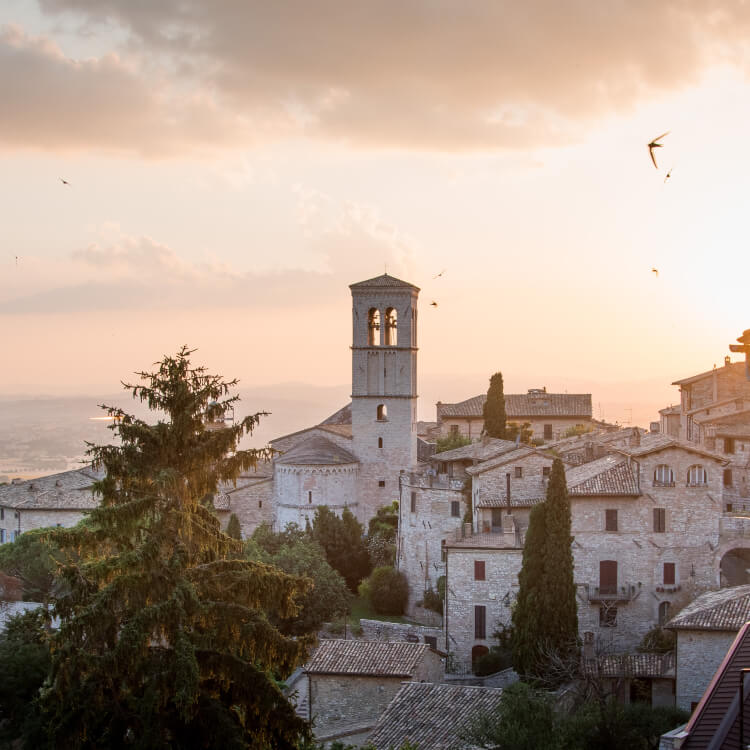 Who was the first follower of St. Francis of Assisi?