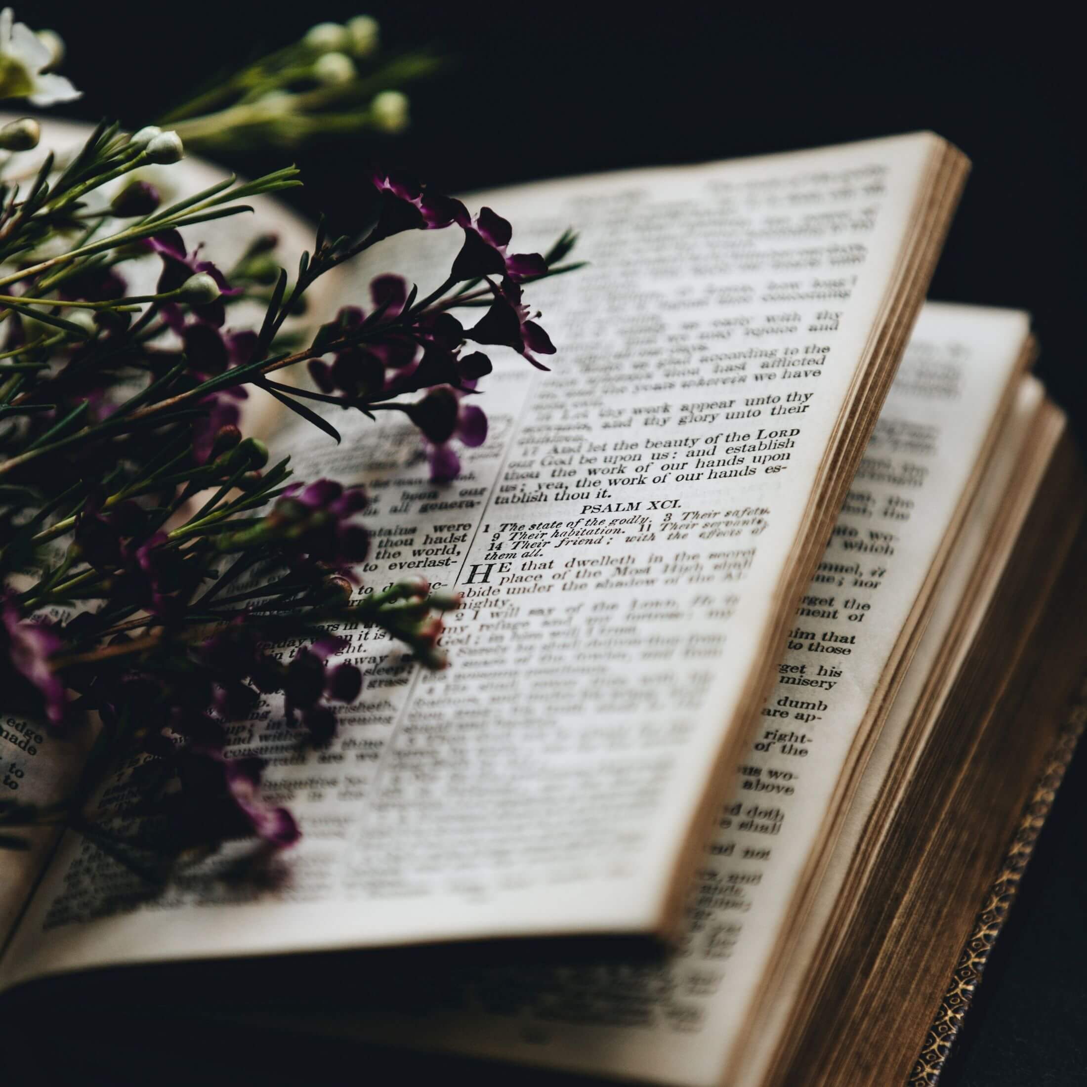 What is the “Poor Man’s Psalter”?