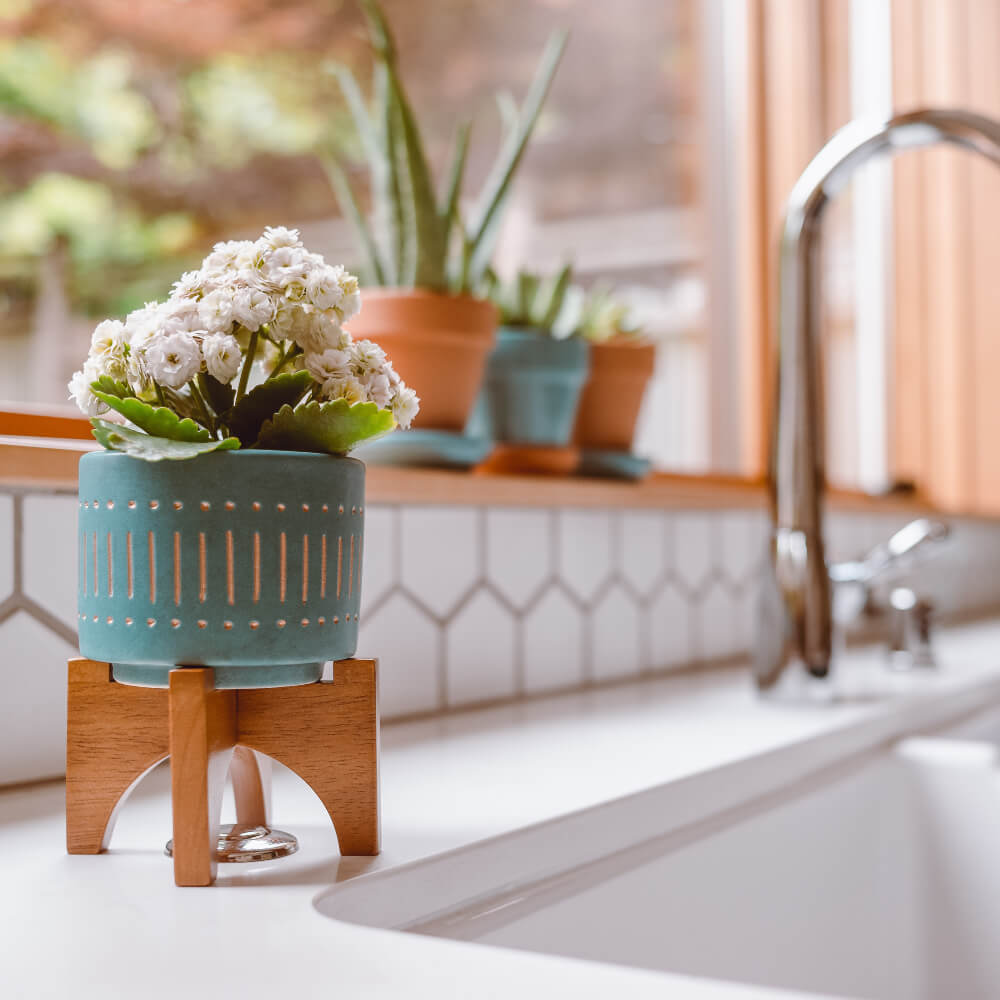 Which saints were also wives and mothers?