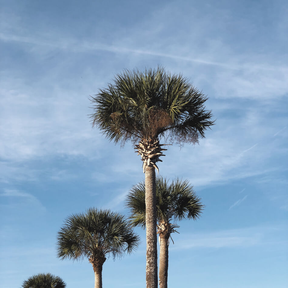 When was the first Thanksgiving?