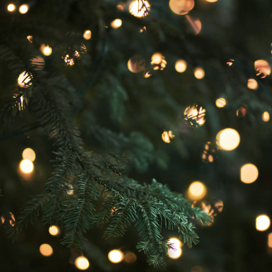 What is the “Christmas Nail”?