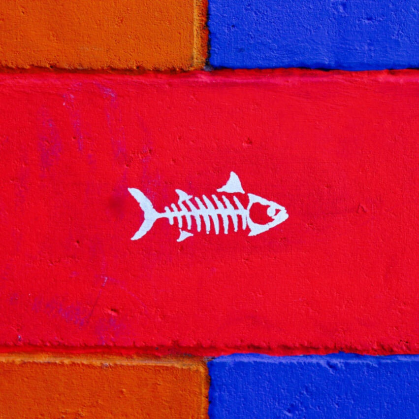 Why do we get our throats blessed on February 3rd?