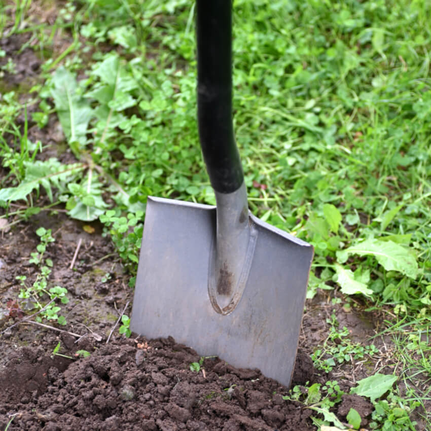 What is the “burial of the Alleluia”?