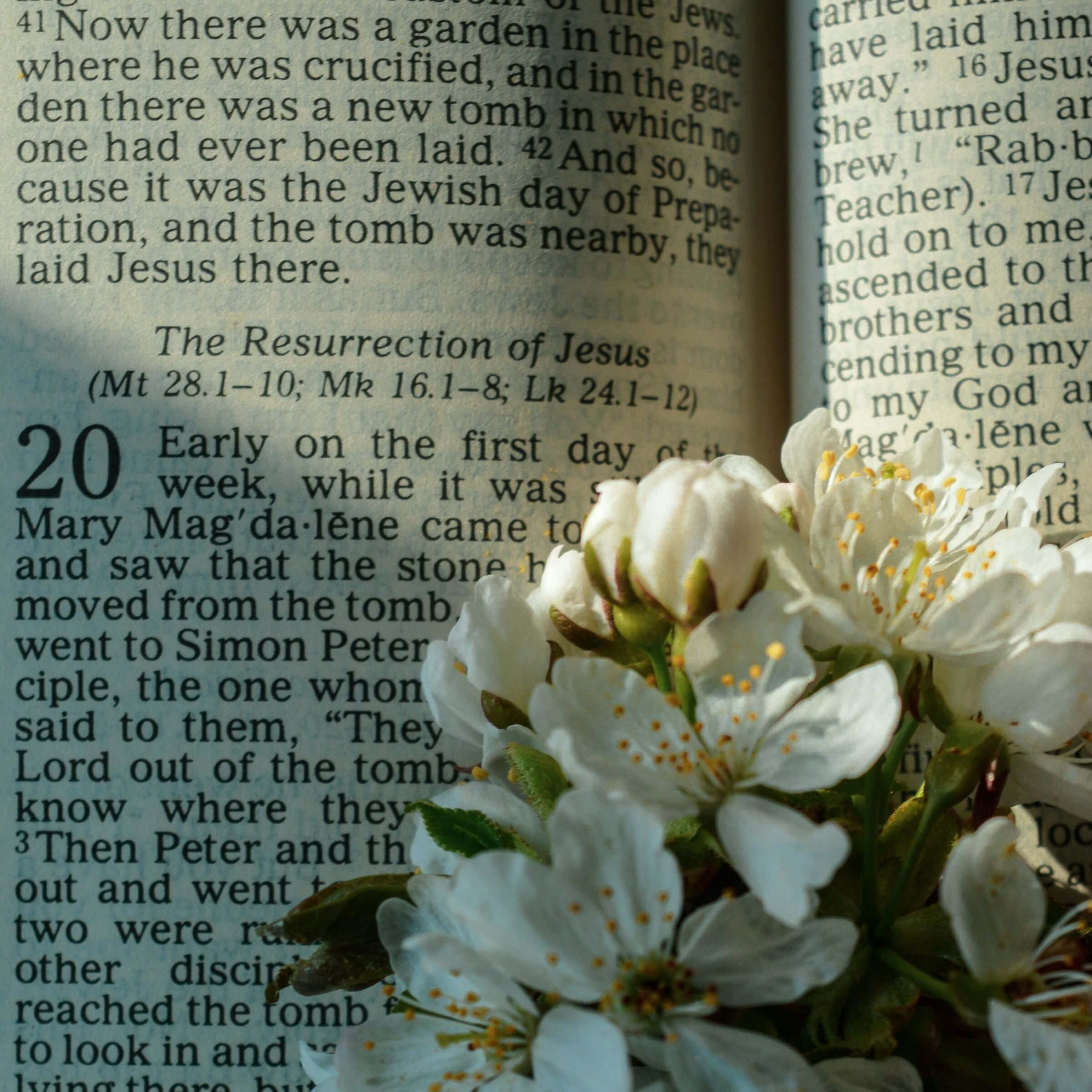 What is the “happy fault”?