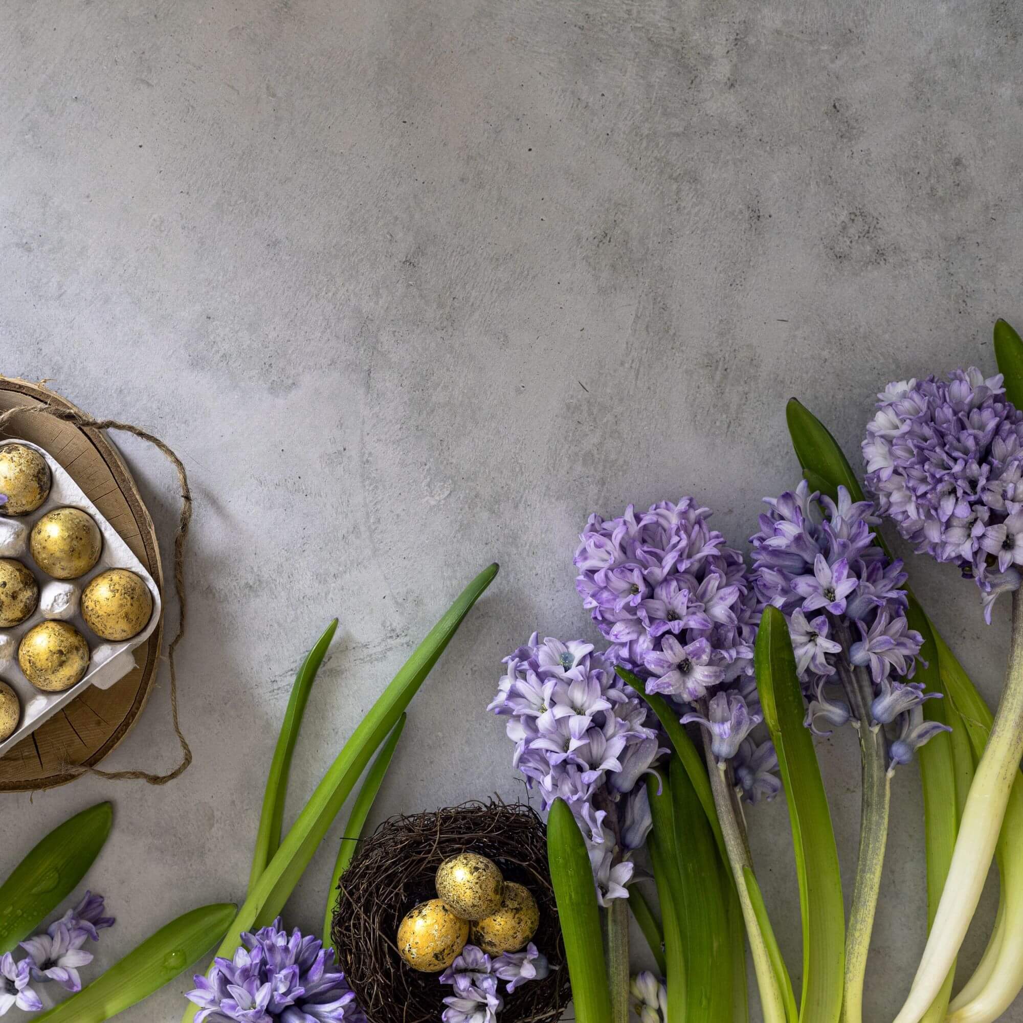 What is an “octave”?