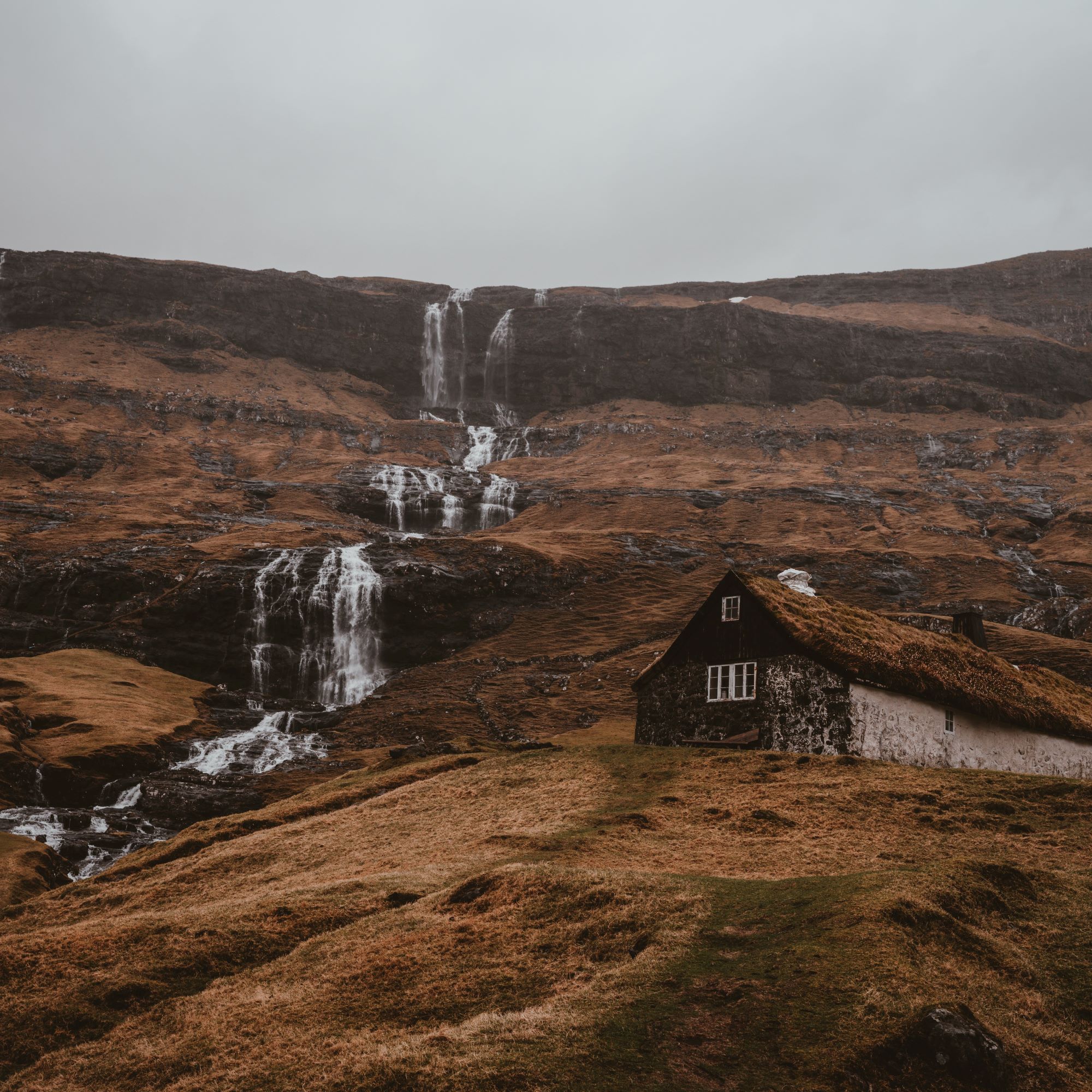 Which martyr died sheltering a priest?