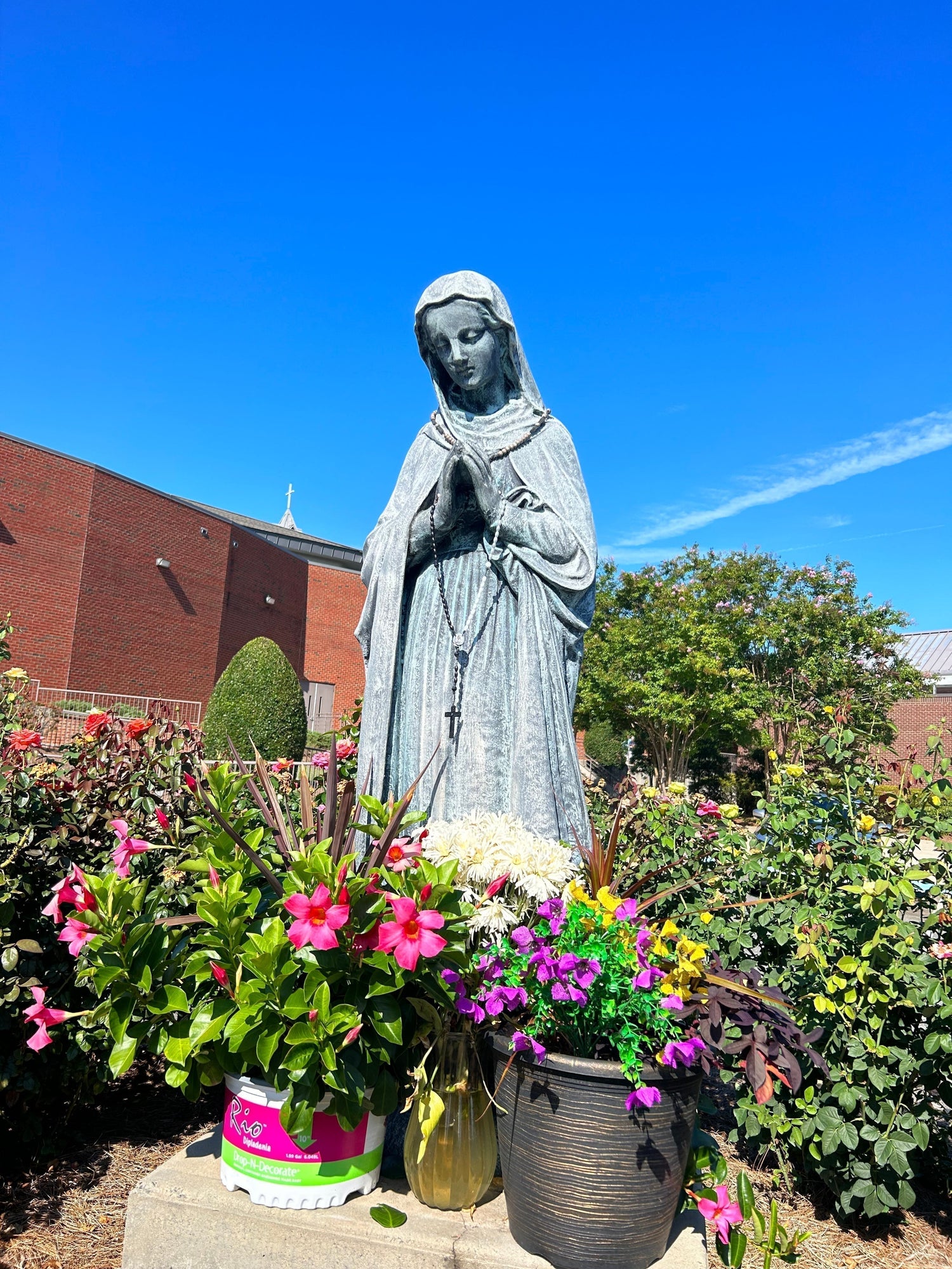 7 Simple Ways to Celebrate The Assumption of Mary