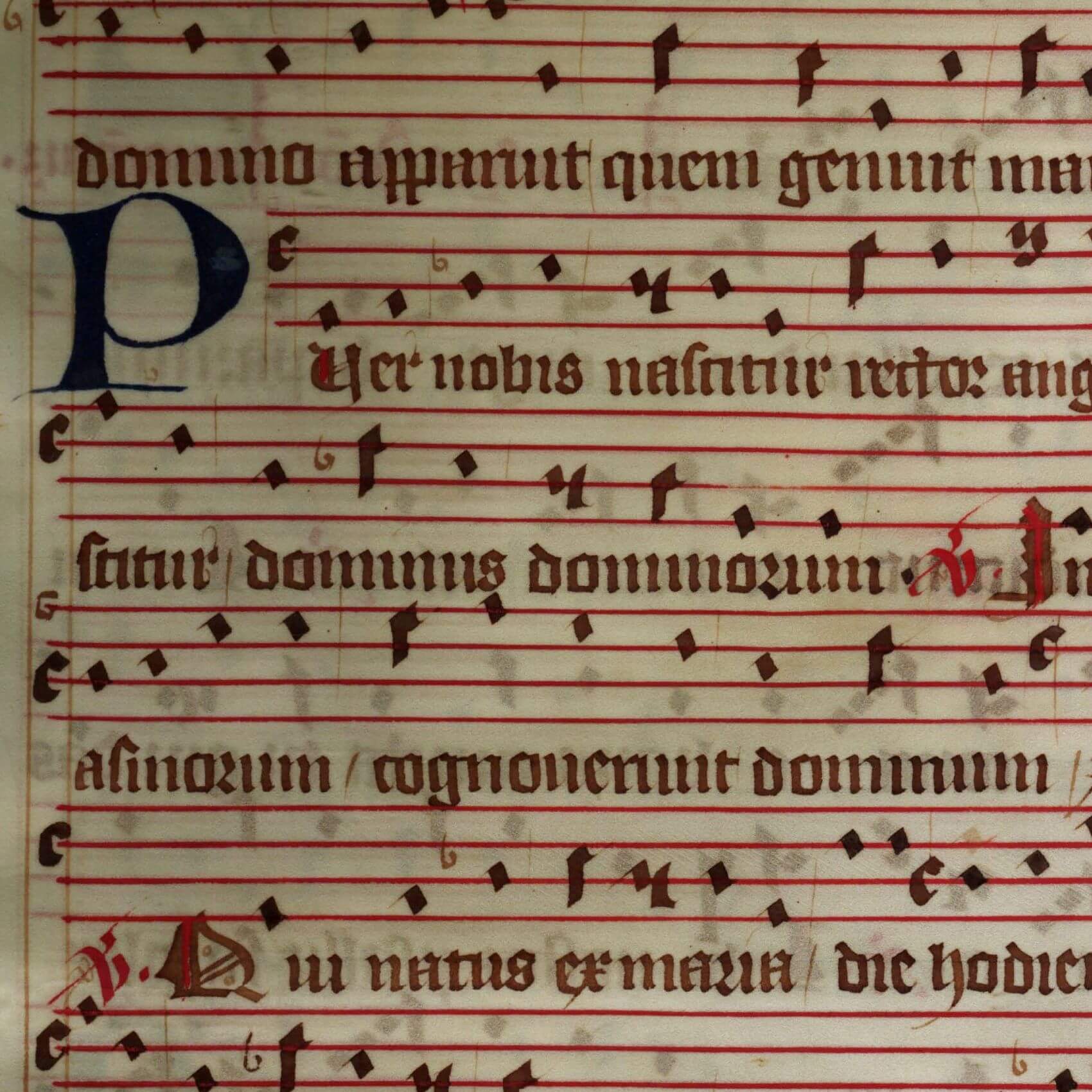 Why is Latin the language of the Church?