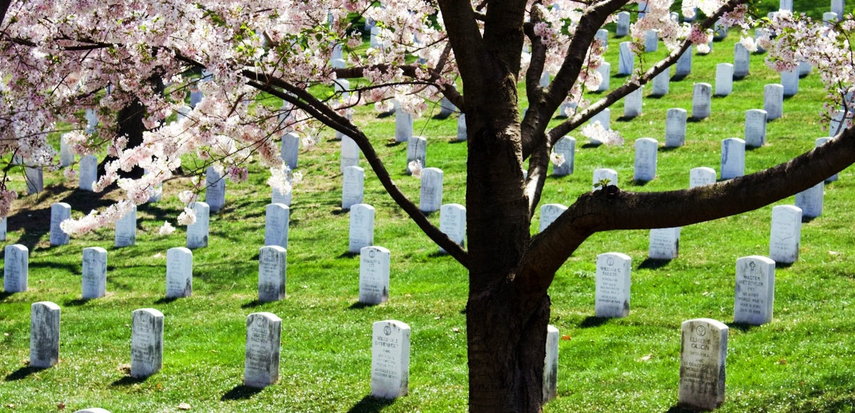 6 Ways for Catholics to Celebrate Memorial Day