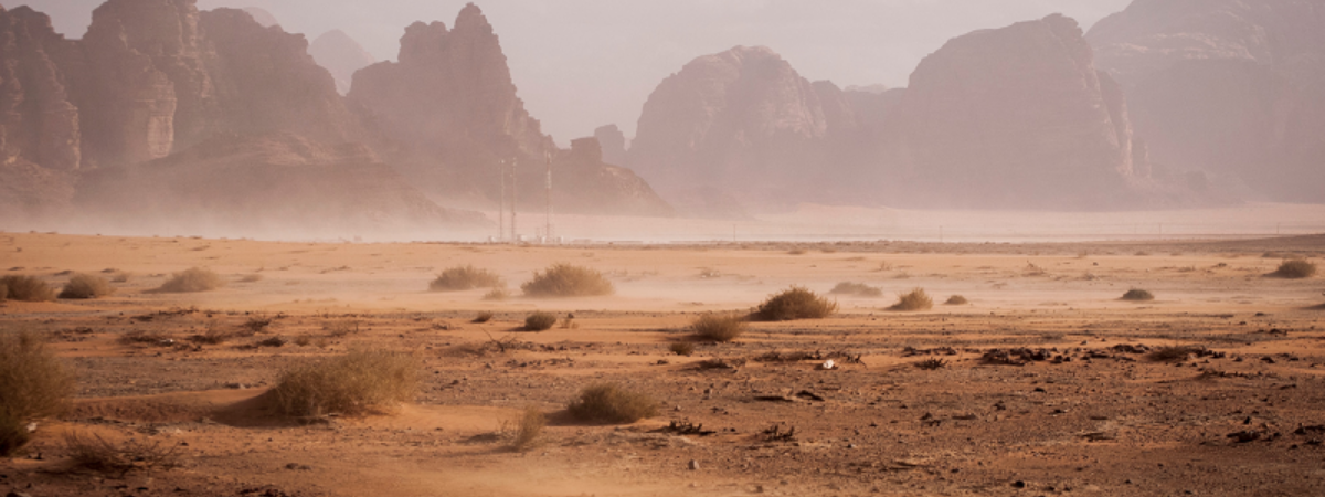 We Have Been Invited To The Desert This Lent: Are We Answering The Call?