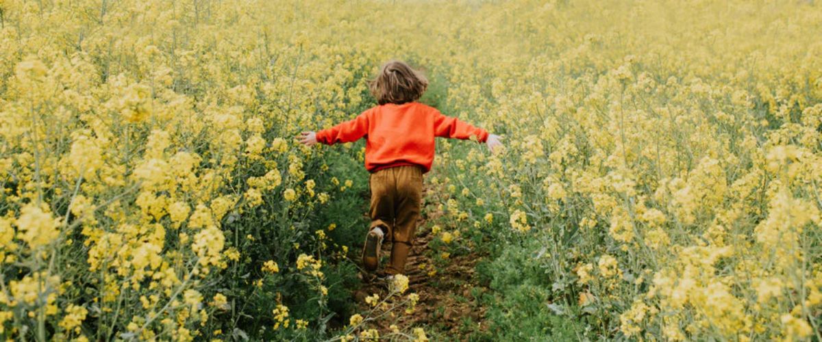 Child running through a yellow flower field with arms outstretched