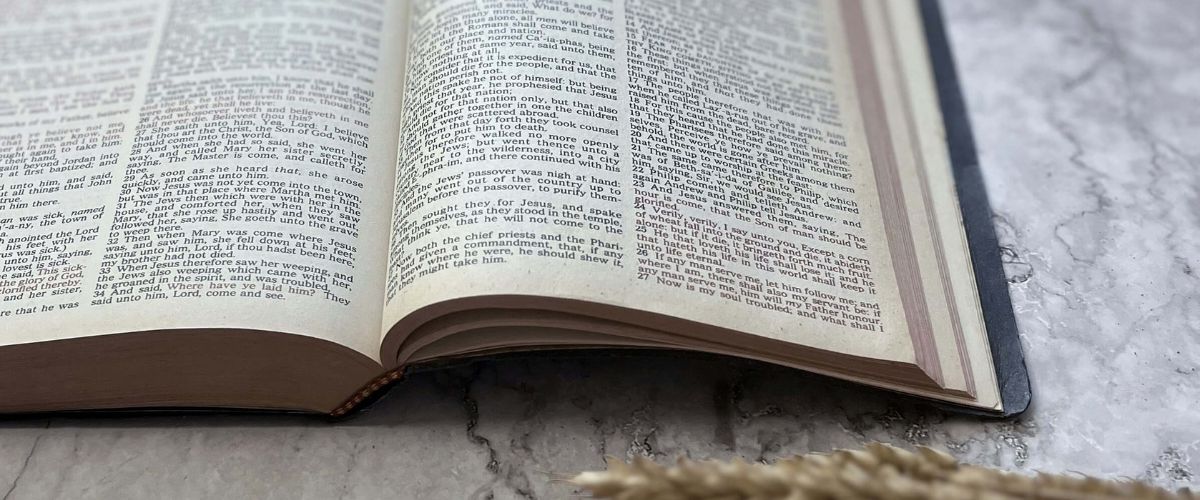 Open Bible resting on a marble surface with wheat in the foreground
