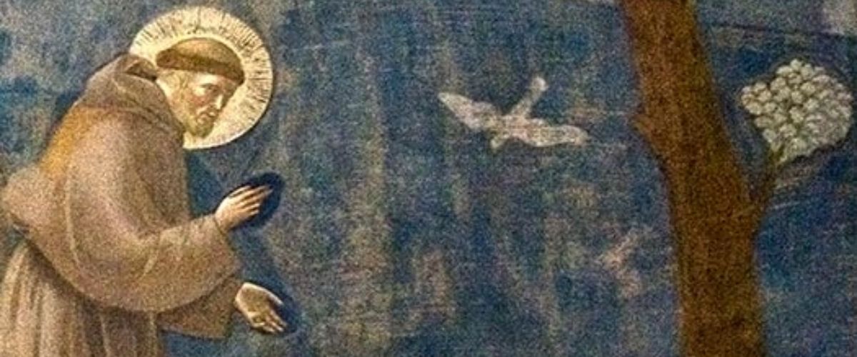 Saint Francis of Assisi with a halo, gently reaching toward a bird.