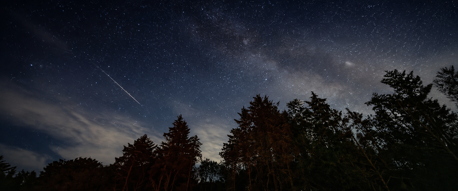 Perseid Meteor Shower