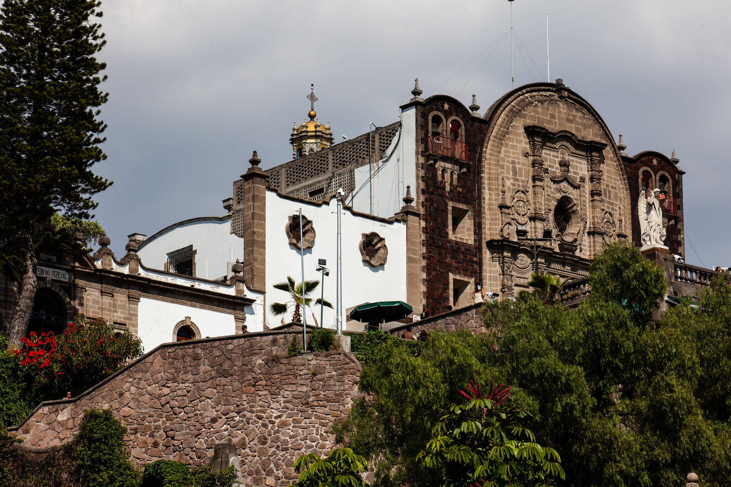 The Mother Who Speaks to Every Heart: The Incredible Story of Our Lady of Guadalupe And Her Enduring Message