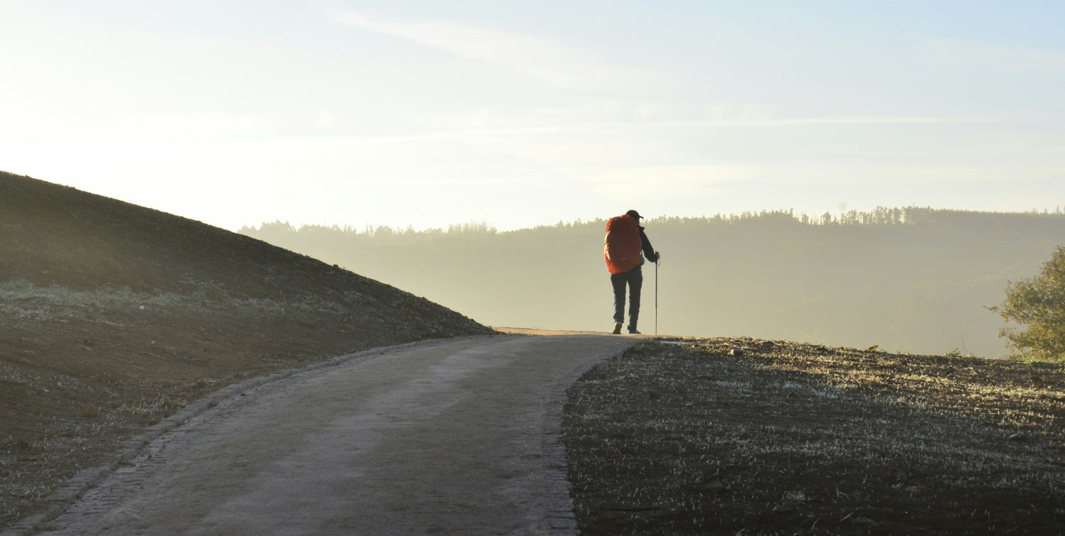 What Is the Jubilee Year & How Can We Celebrate It?