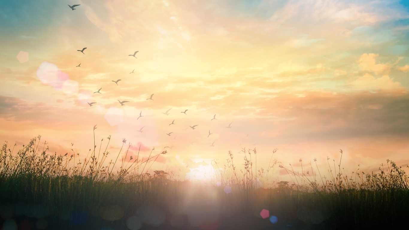 Tepidity: A Wake-Up Call for the Catholic Soul