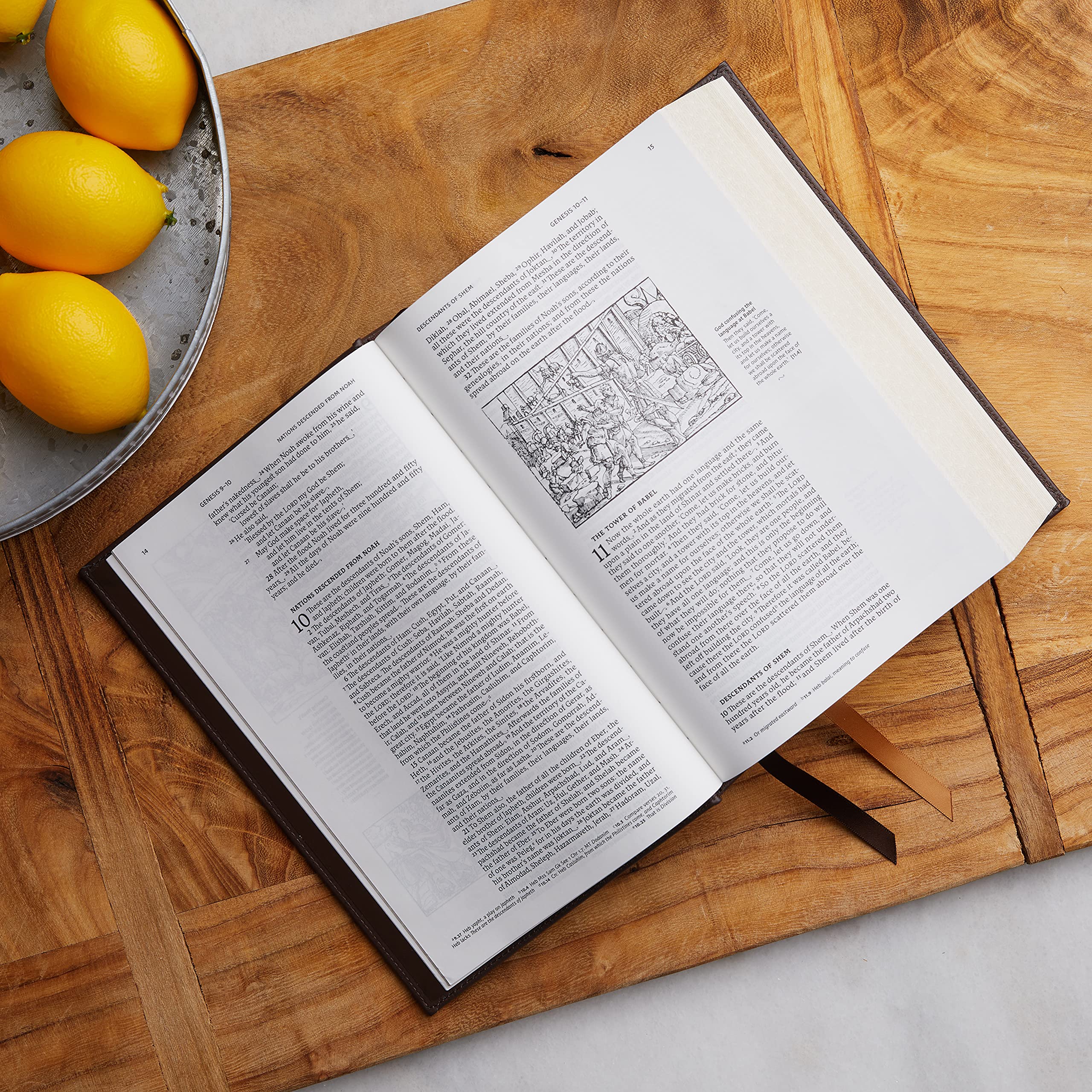 NRSV Illustrated Catholic Bible (Leathersoft)