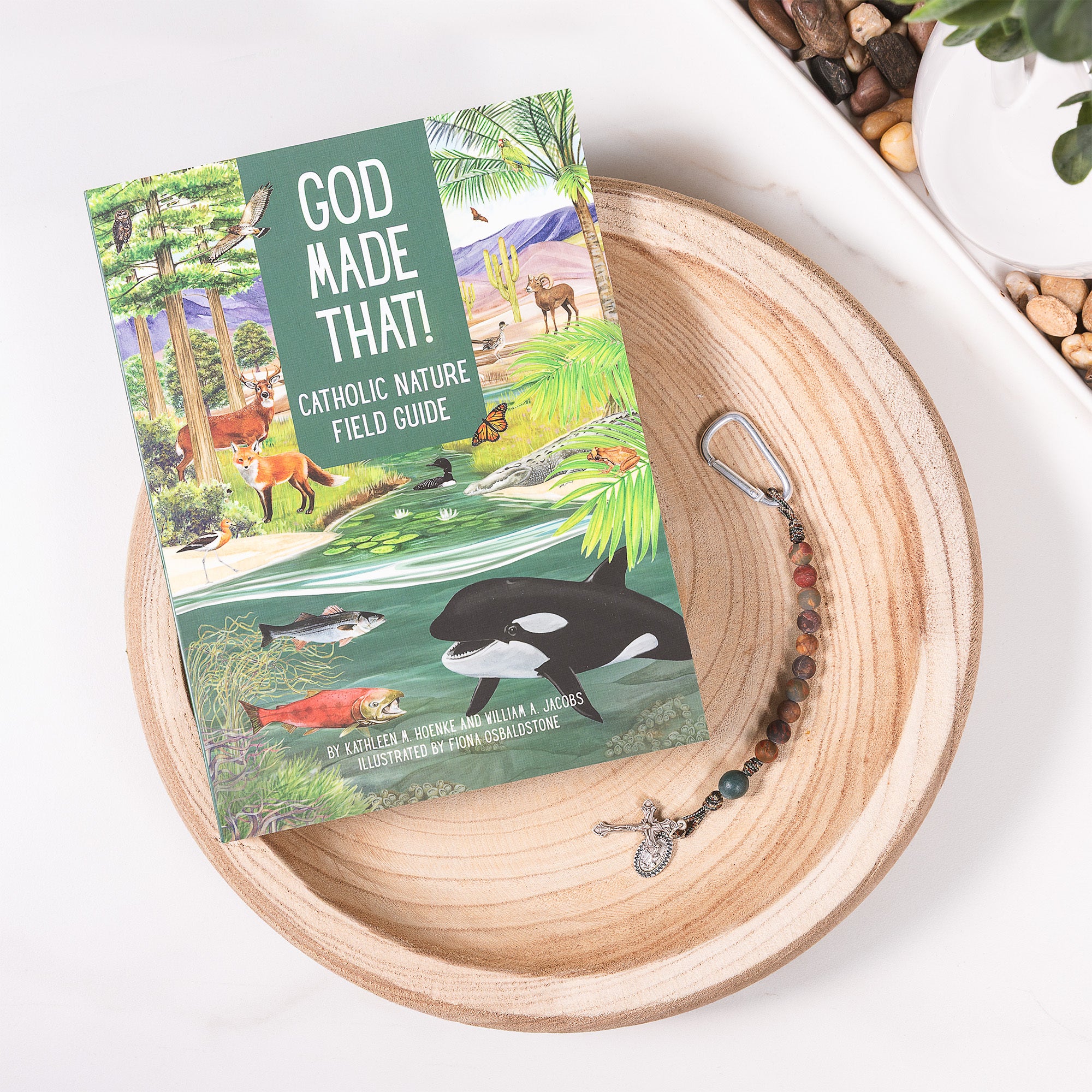 God Made That! Catholic Nature Field Guide Book & Brave Beads Gift Set – Stella Maris or St. Francis