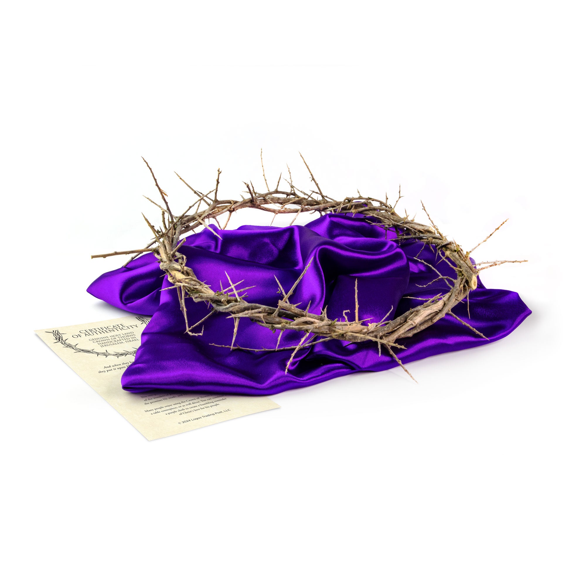13" Crown of Thorns with Purple Cloth