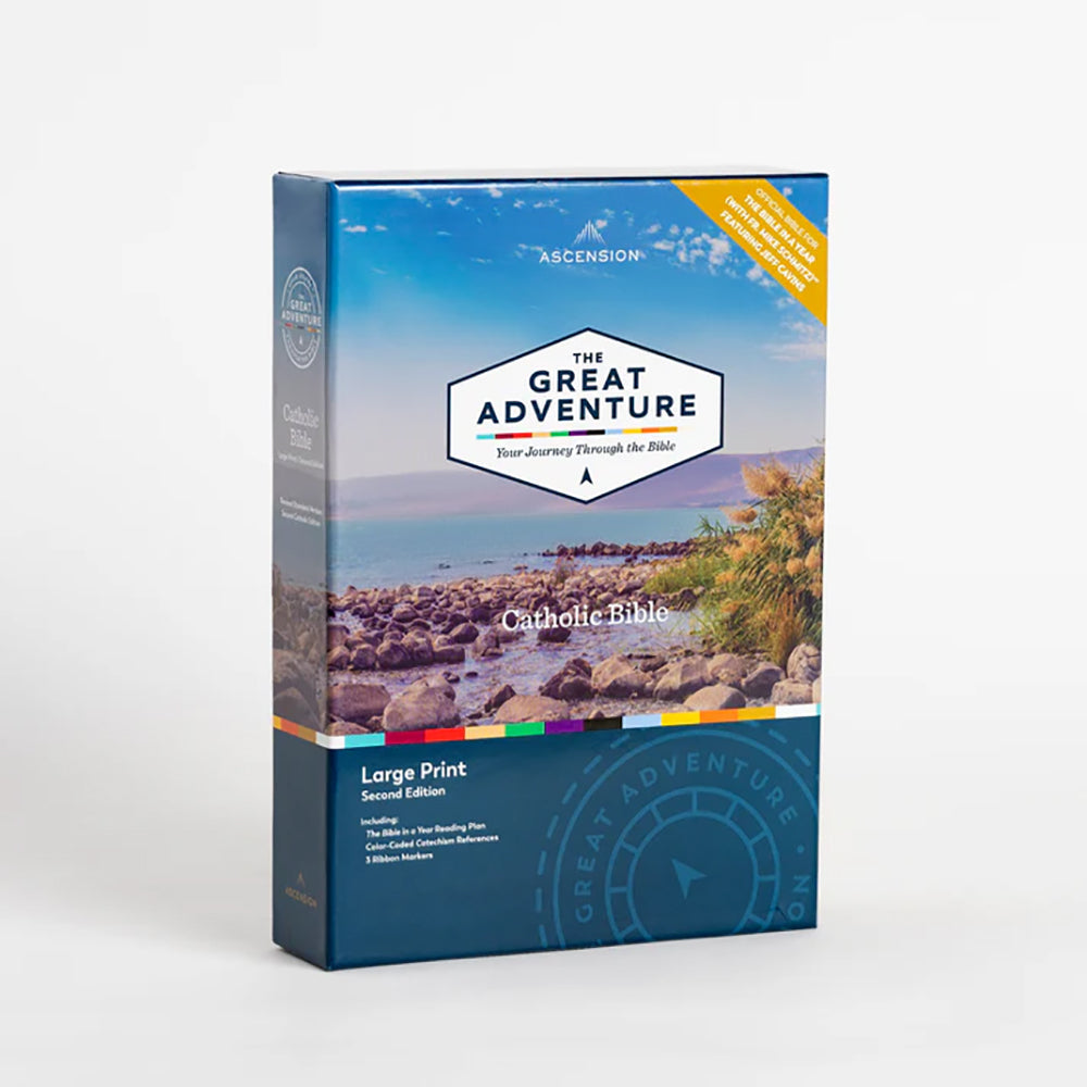 The Great Adventure Bible - Large Print Edition