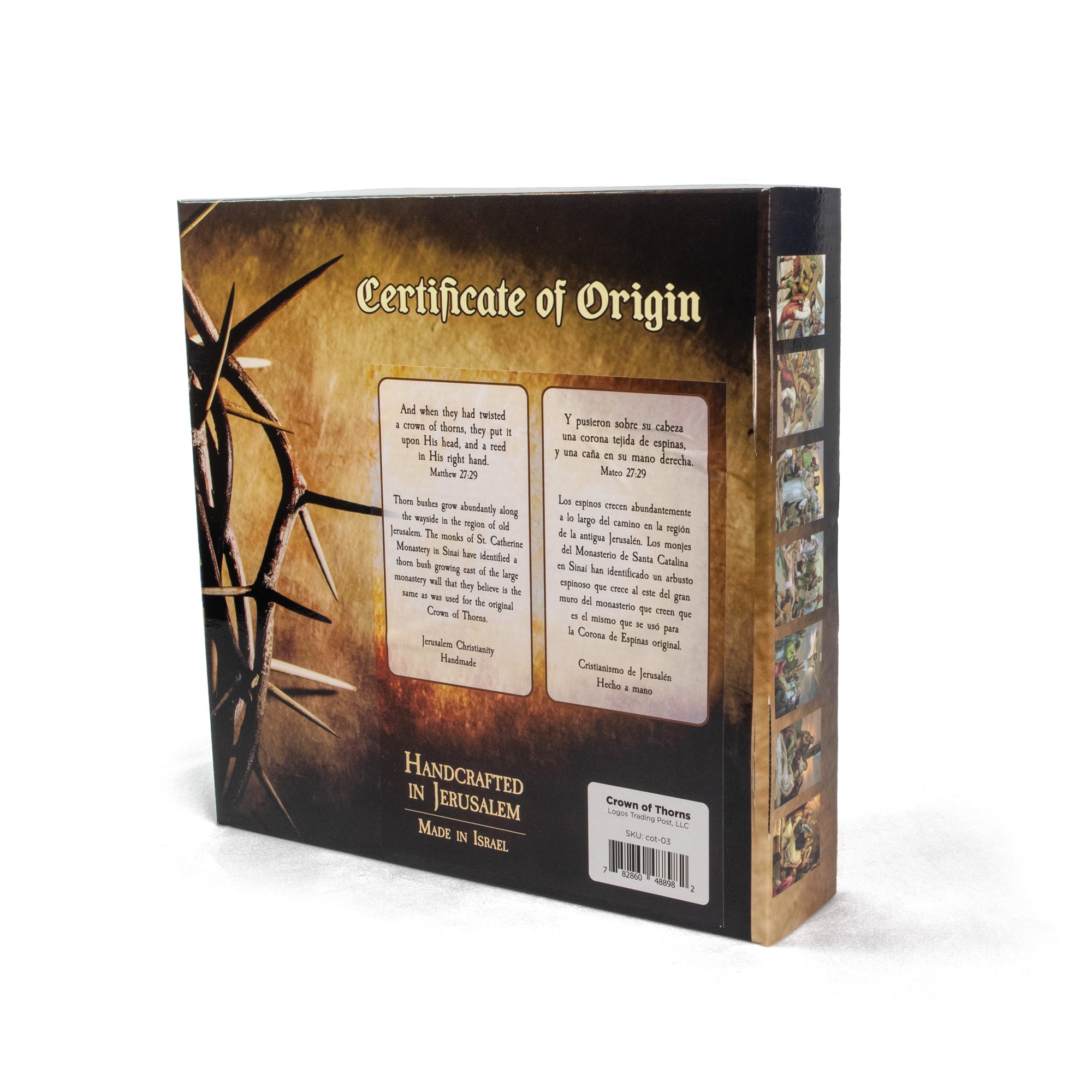 9" Crown of Thorns in Display Box