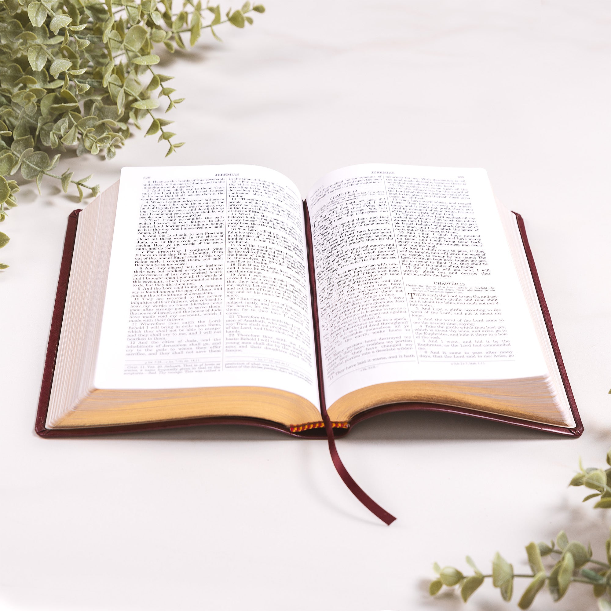 Douay Rheims Bible - Burgundy Cover