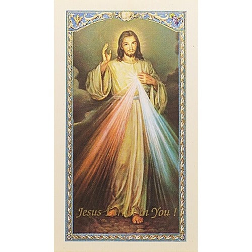The Chaplet of the Divine Mercy Prayer Card