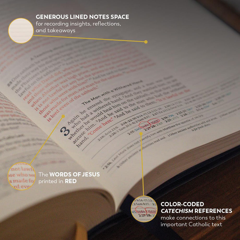 The Great Adventure Bible - Notetaking Edition