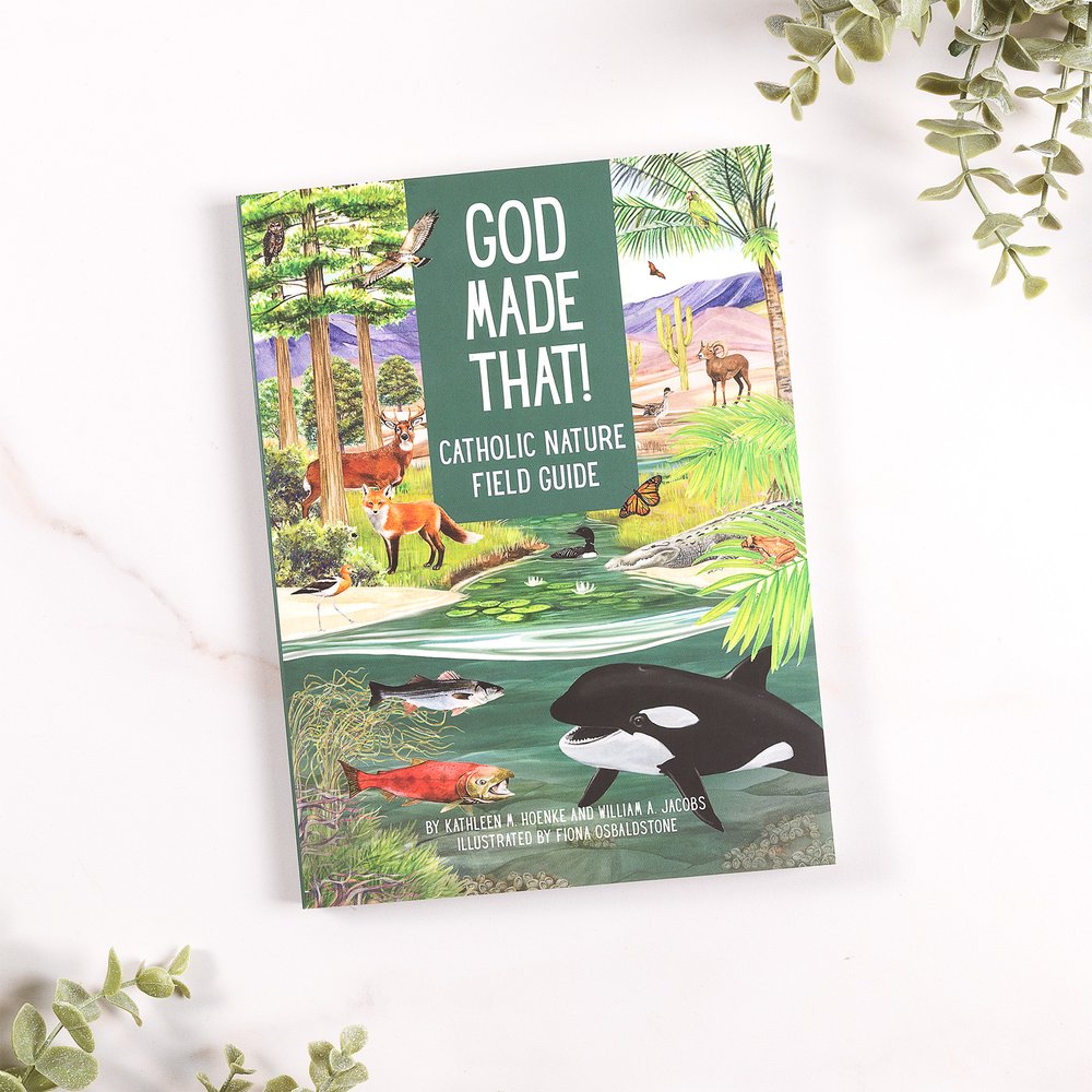 God Made That! Catholic Nature Field Guide