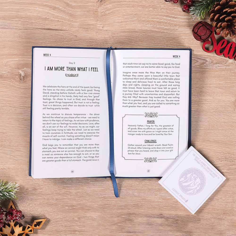 Advent to Christmas Devotional & Coloring Book Family Gift Set