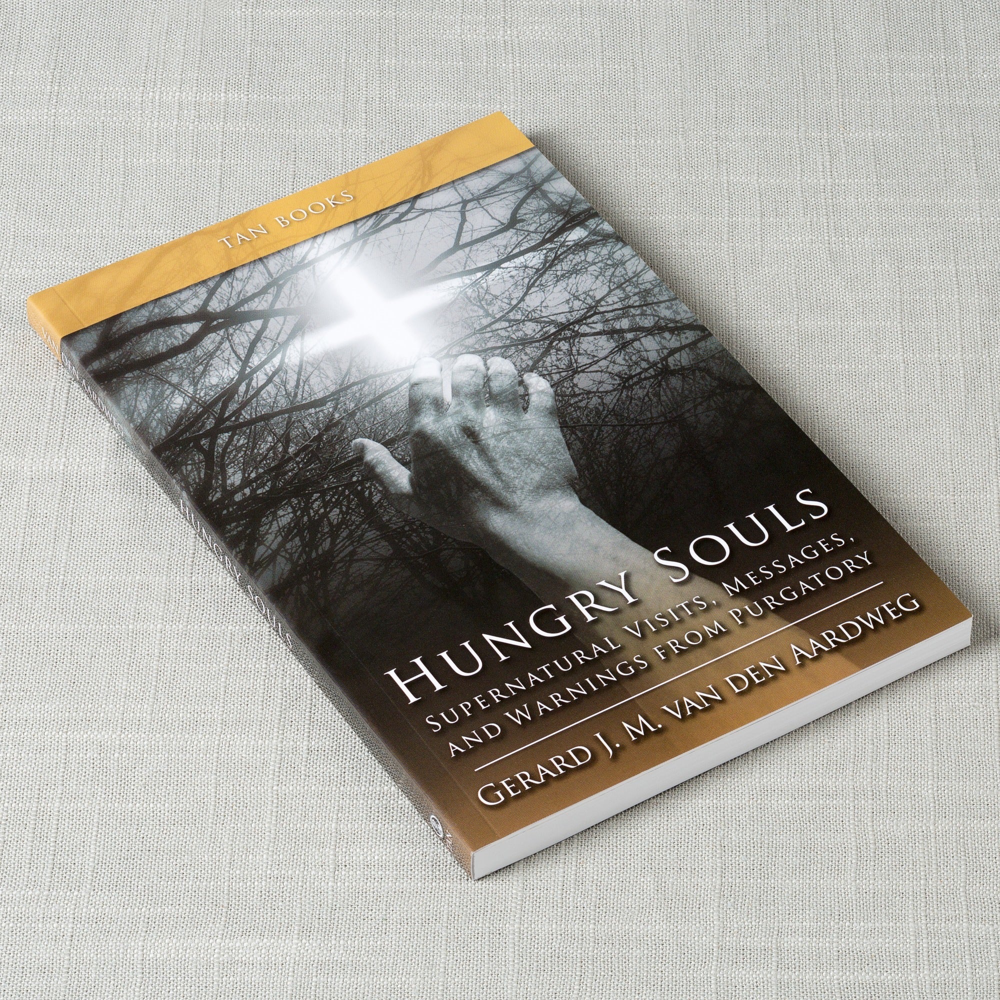 Hungry Souls: Supernatural Visits, Messages, and Warnings from Purgatory