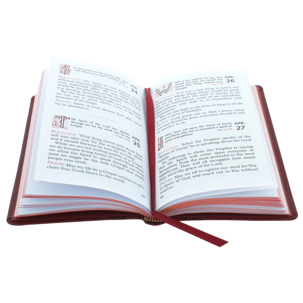 Red & White Carnelian Holy Spirit Chaplet & Daily Meditations With the Holy Spirit Book (Gift Set)