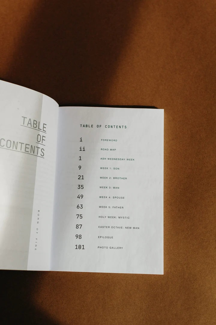 Catholic Lenten Devotional for Men: Born of Fire