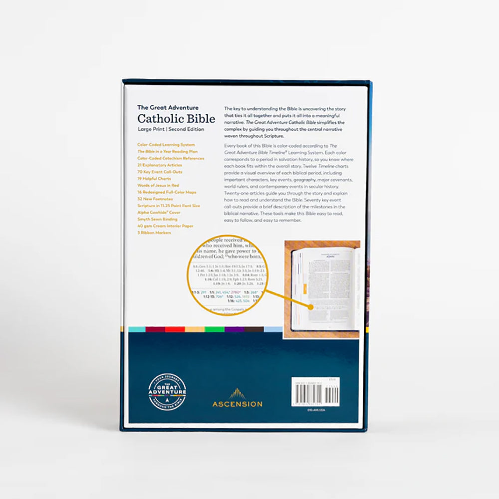 The Great Adventure Bible - Large Print Edition