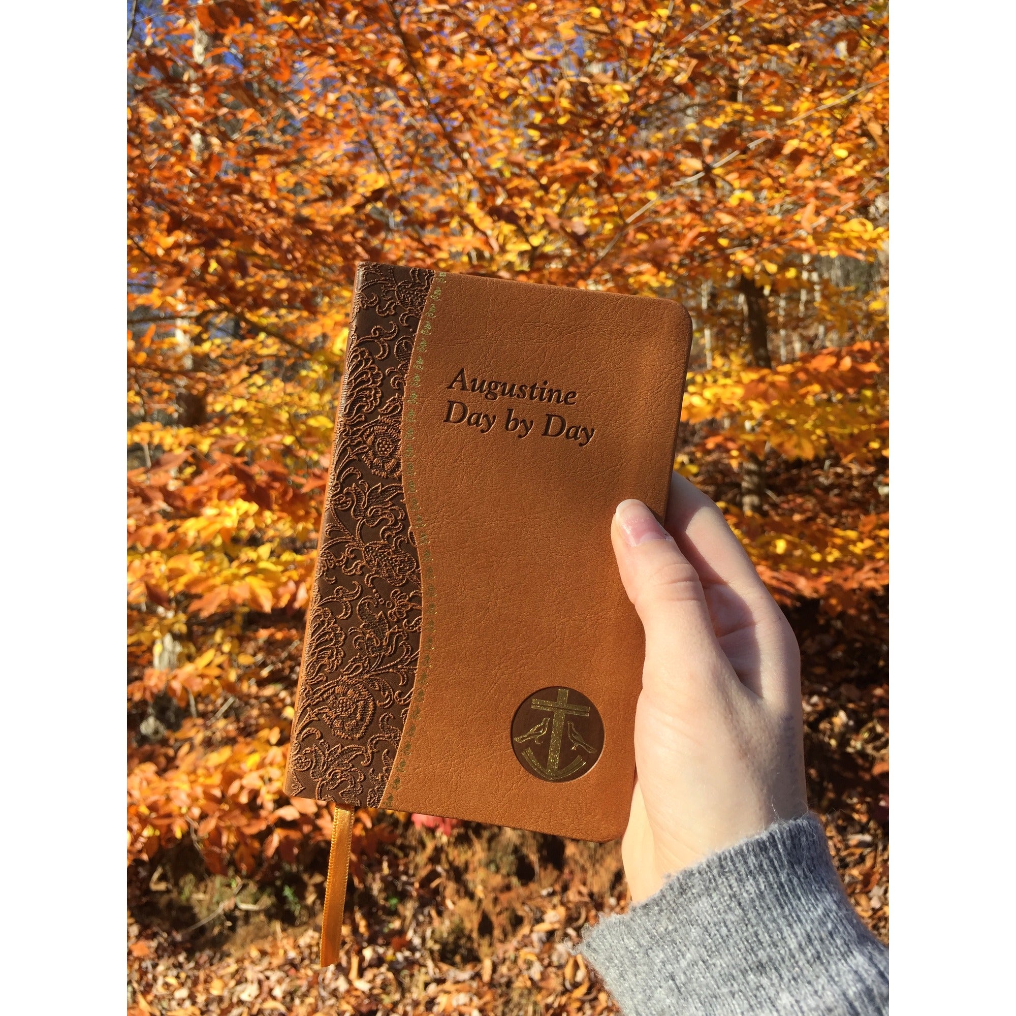 Augustine Day by Day: Minute Meditations For Every Day