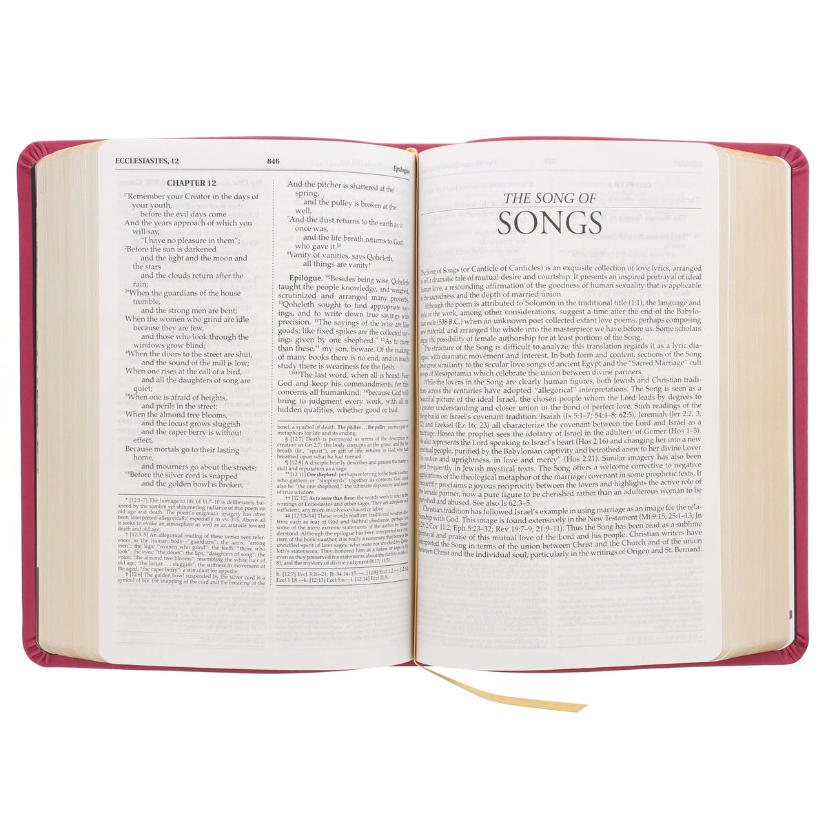 Open Bible showing two pages with a magenta hardcover, gold ribbon, and black text printed on cream paper.