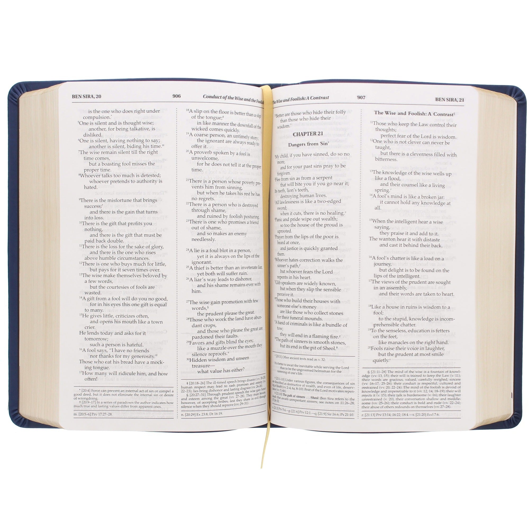 Blue Song of Angels Bible