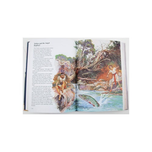 The Illustrated Catholic Children's Bible