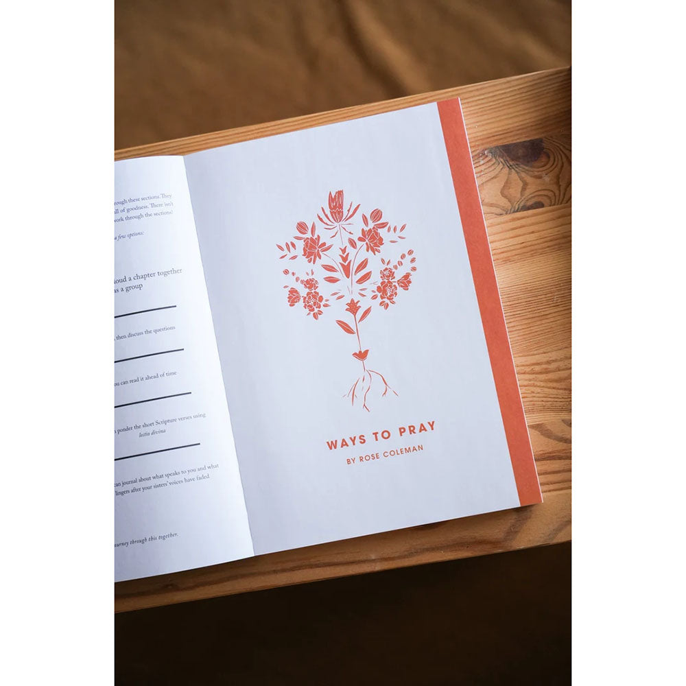 Rooted: A Study on The Catechism (Blessed Conversations Series)