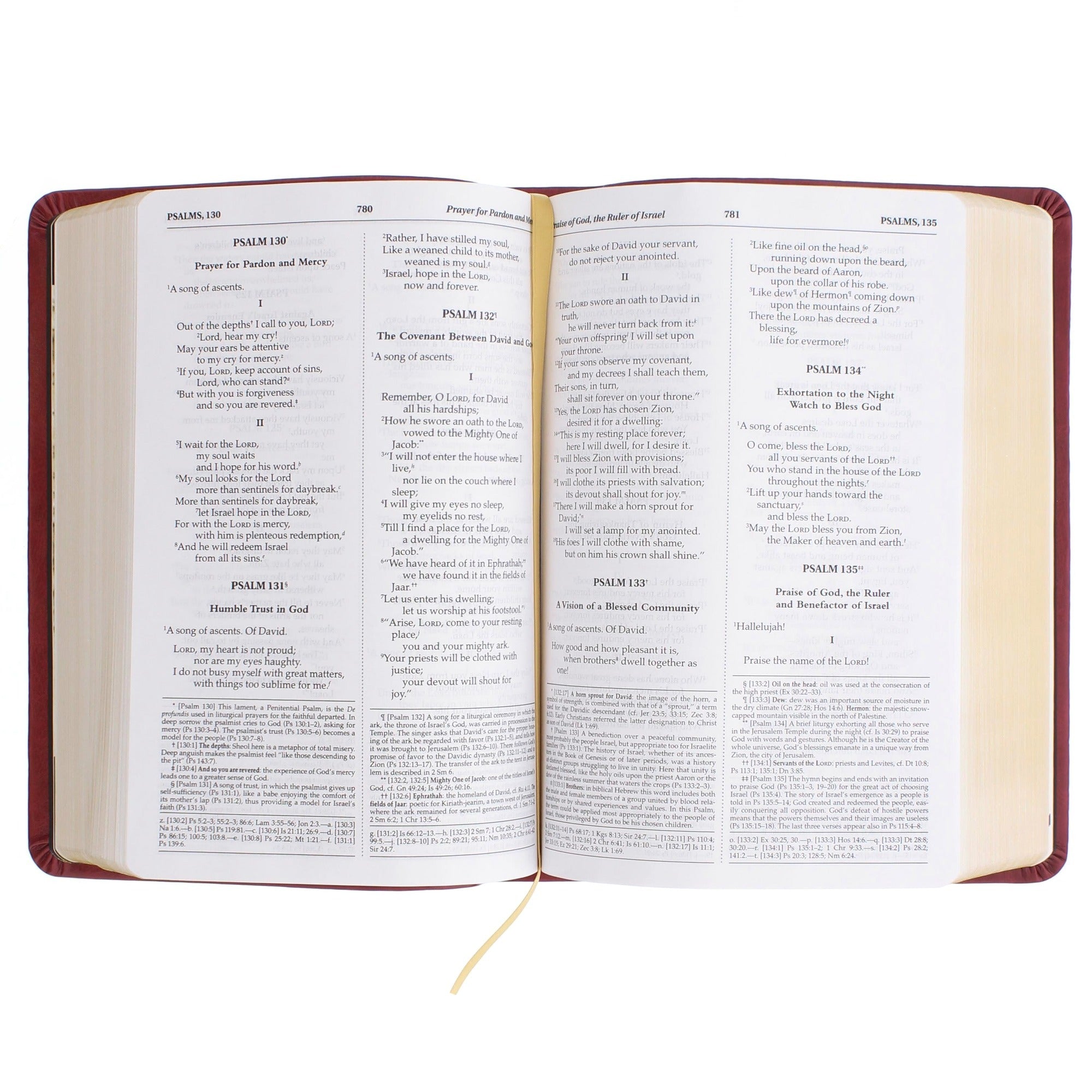 Personalized IHS Bible