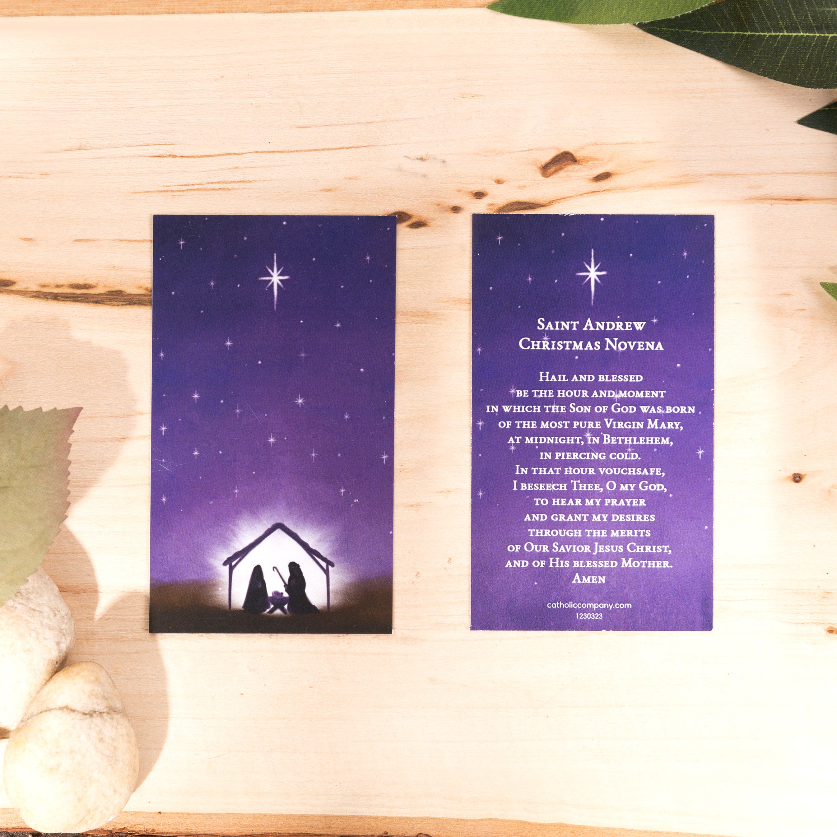 St. Andrew Novena Prayer Card