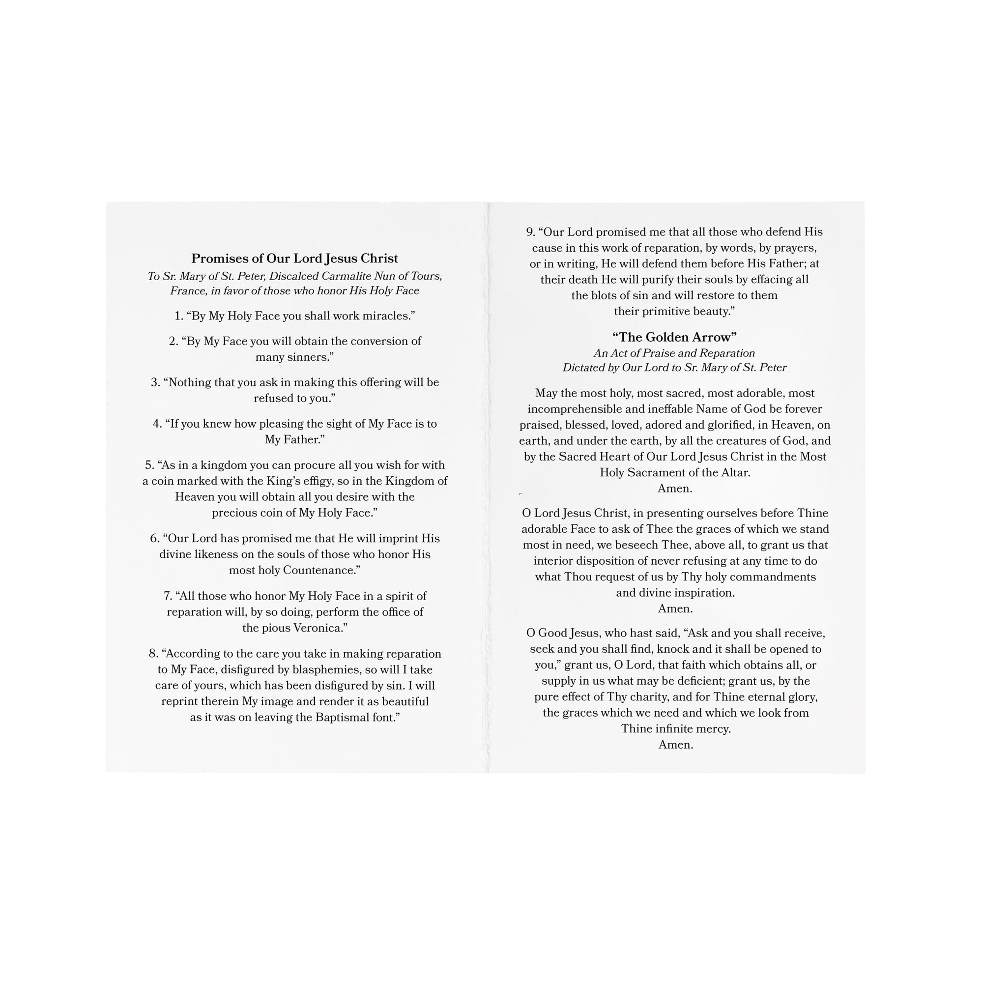 The Holy Face of Jesus Prayer Card - Pack of 50