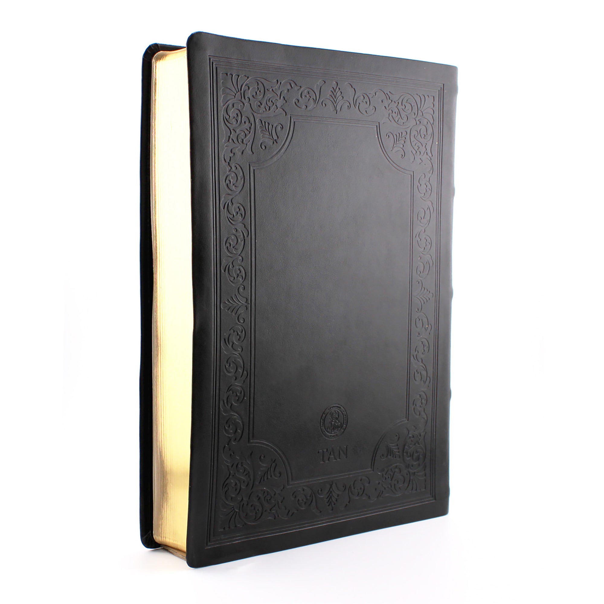 Douay Rheims Bible Large Print Edition