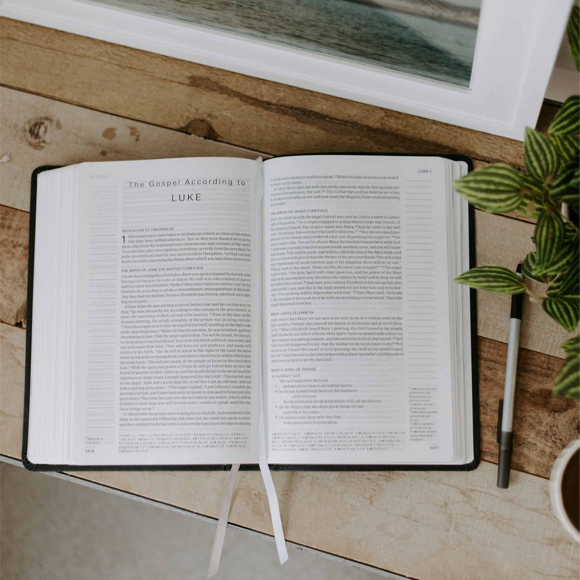 Blessed Is She Single-Column Journaling Bible NRSV-CE