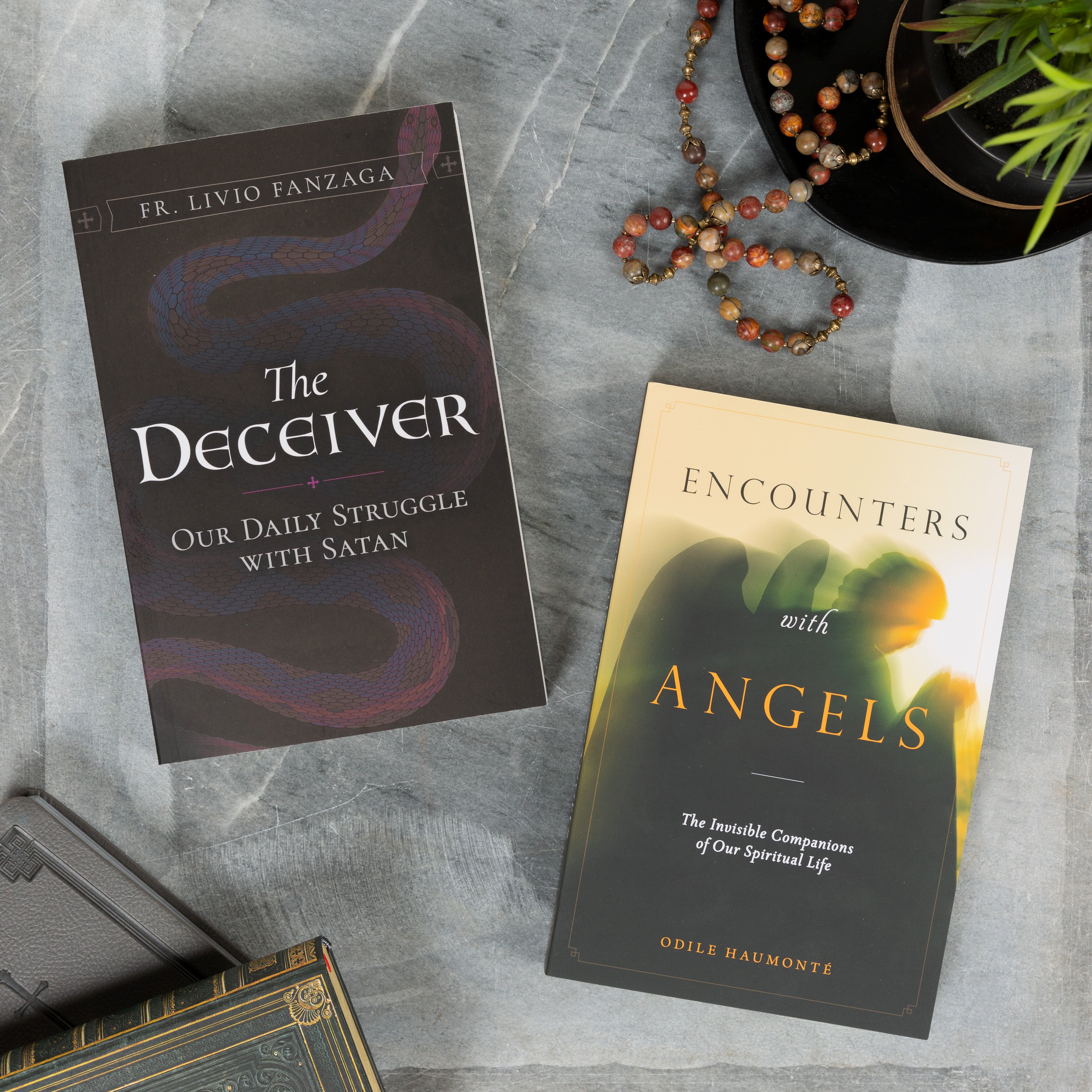 The Deceiver & Encounters with Angels (2 Book Set)