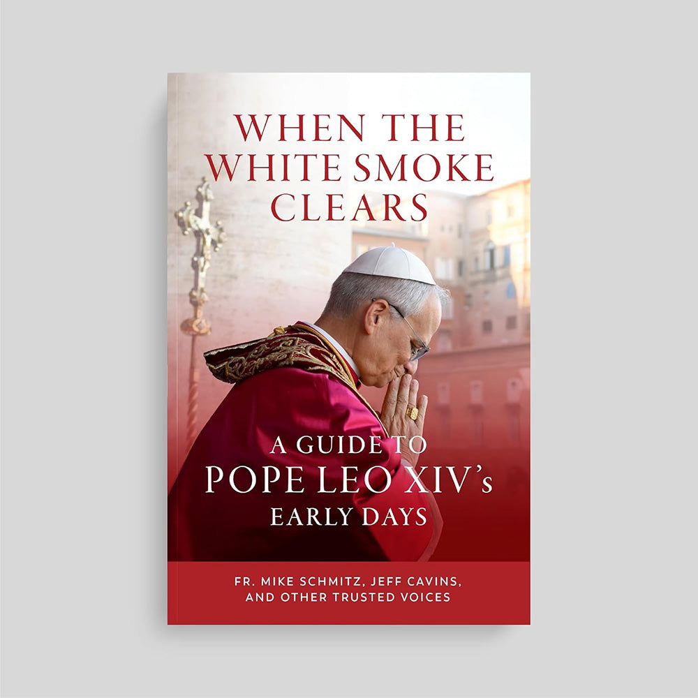 When the White Smoke Clears: A Guide to Pope Leo XIV's Early Days