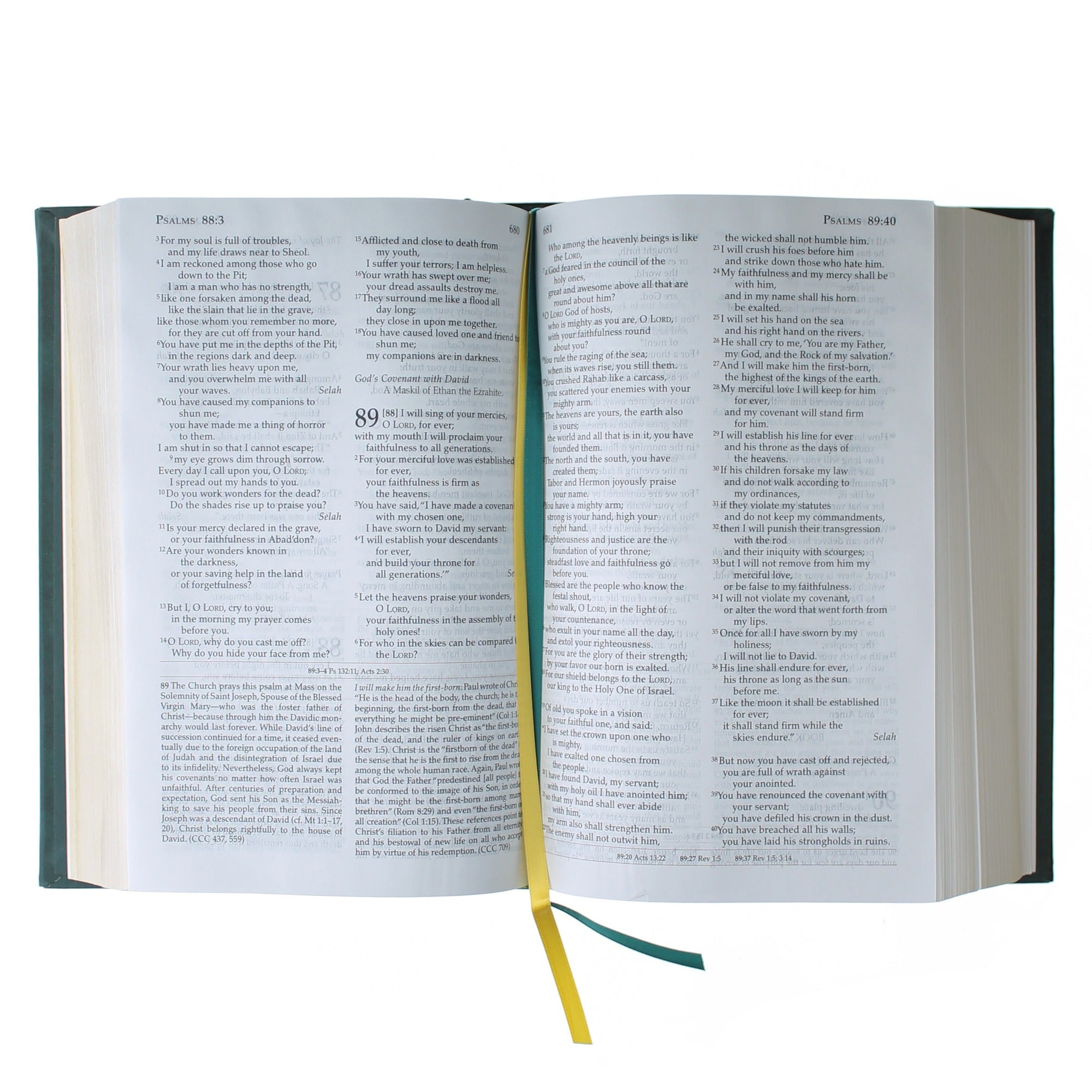 The Didache Bible (Padded Hardcover)