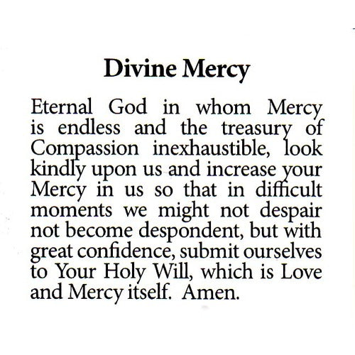 Divine Mercy Finger Rosary with Prayer Card in Clear Vinyl Pouch